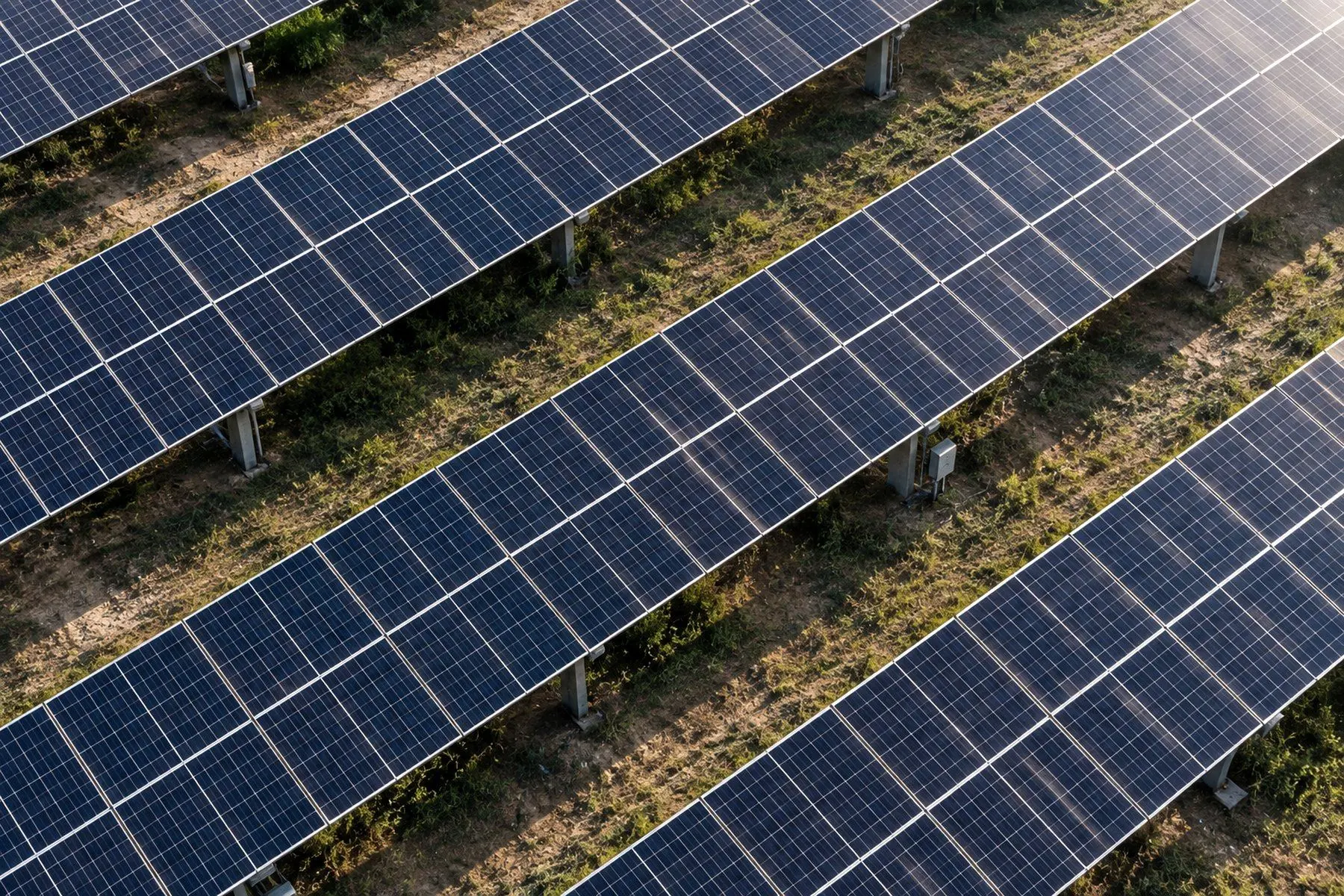 The solar farm at the plant